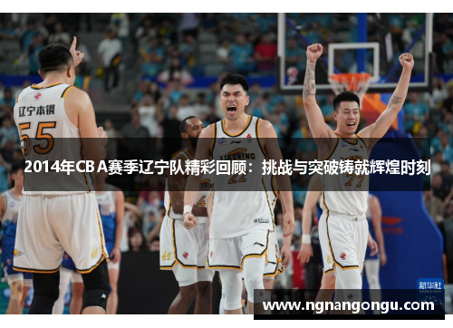 2014年CBA赛季辽宁队精彩回顾：挑战与突破铸就辉煌时刻